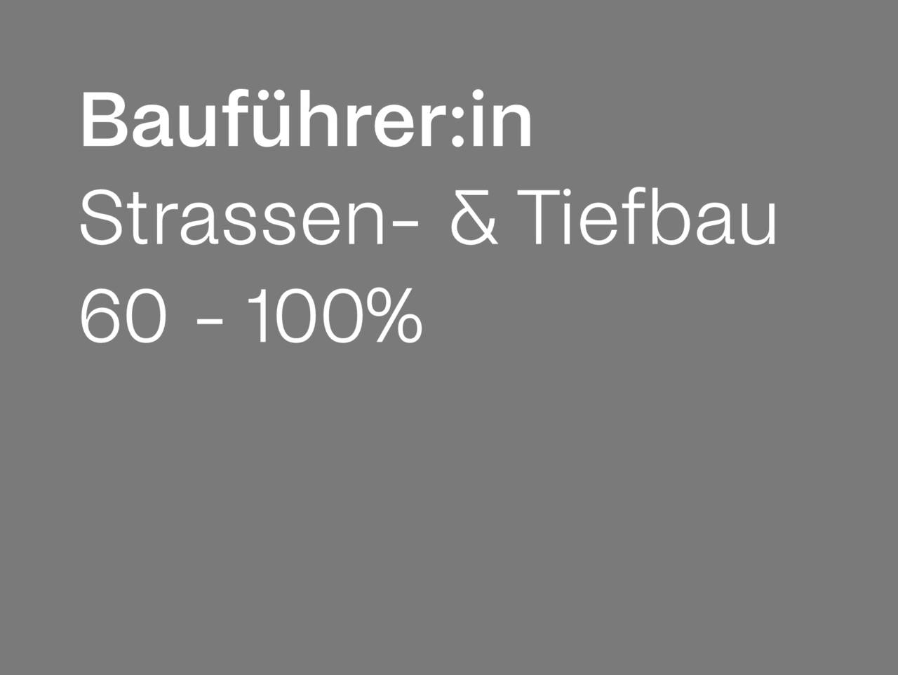 baufuehrer_sw.jpg baufuehrer_sw.jpg